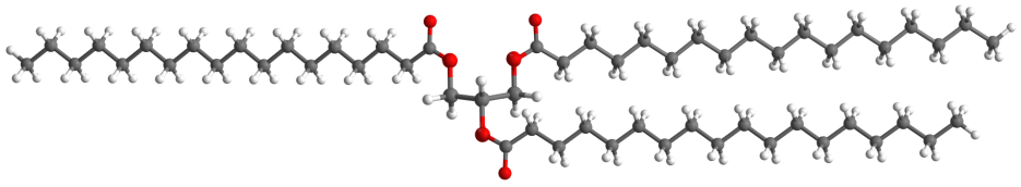 A triglyceride molecule, made up of three fatty acids bonded to a central glycerol unit. © 2014 EHN & DIJ Oakley.